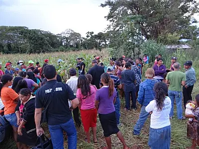 Mulher é encontrada morta em milharal