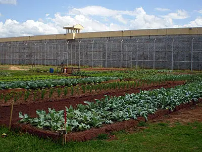 Casa do Albergado de Campo Grande recebe melhorias estruturais