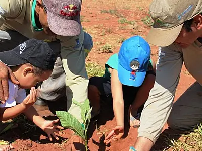 NA SEMANA DA ÁRVORE, PARQUE DO SÓTER RECEBE PLANTIO DE ÁRVORES NATIVAS E FRUTÍFERAS
