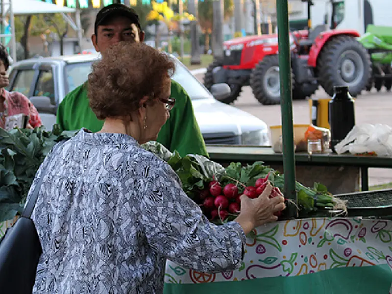 Parceria garante patrulhas mecanizadas para agricultura familiar de Campo Grande