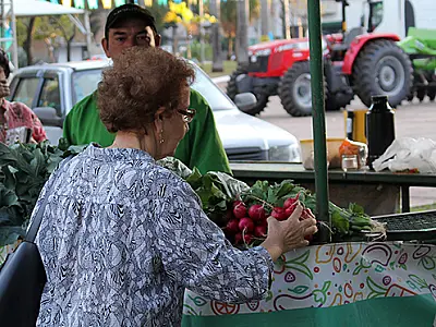Parceria garante patrulhas mecanizadas para agricultura familiar de Campo Grande
