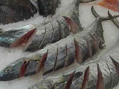 Preços de peixes para a Semana Santa chegam a 200% de diferença
