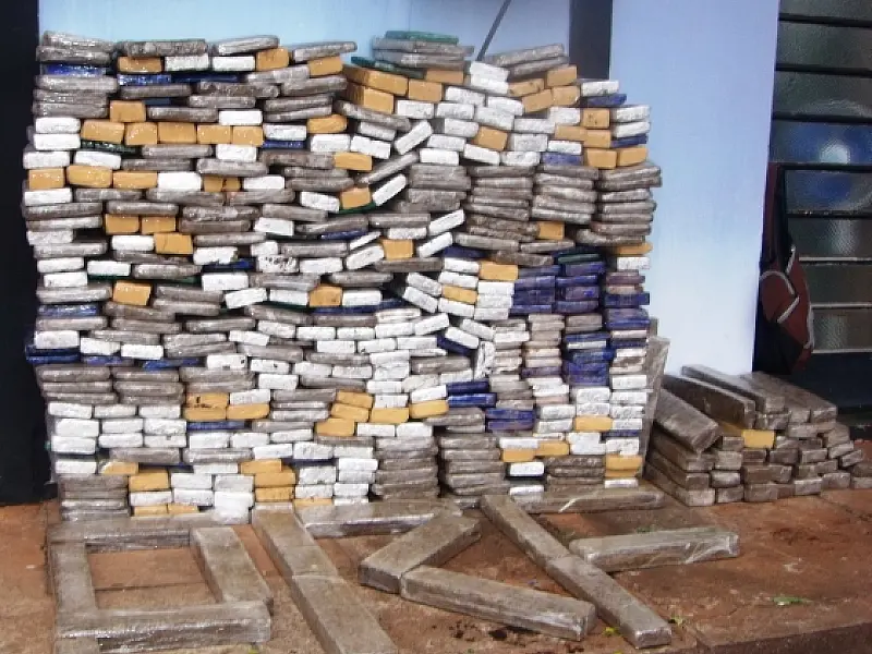 PF fareja e apreende 600 kg de maconha na BR-267