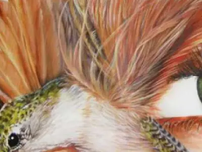 Exposição de Vânia Morais e Thais Galbiati é aberta hoje
