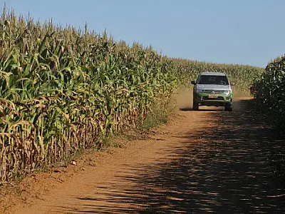 Rally da Safra 2014 avalia lavouras em MS e Paraná
