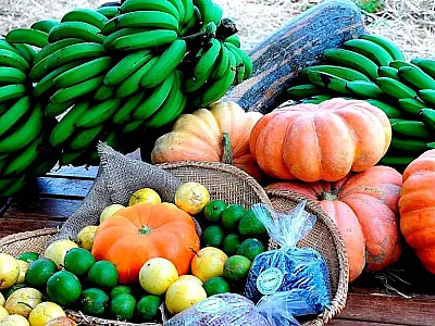 Atenção produtor: 64 escolas ainda tem edital aberto para compra de merenda escolar