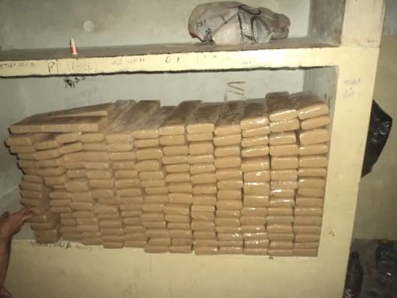 PMA apreende 277 quilos de maconha na MS 338