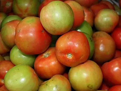 Tomate é o vilão da cesta básica individual pelo segundo mês consecutivo em Campo Grande