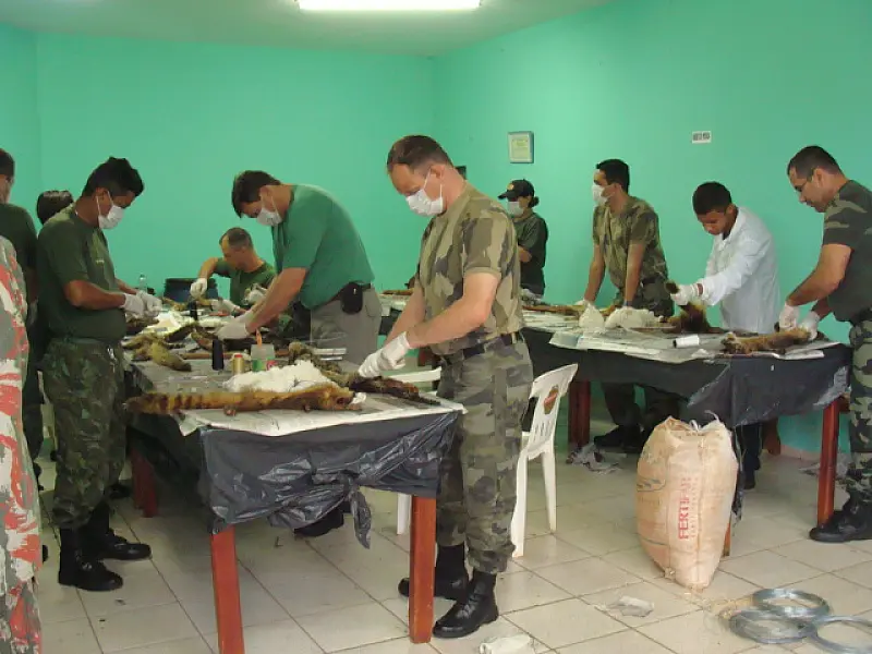 Policiais concluem curso de taxidermia e confeccionam 100 animais silvestres