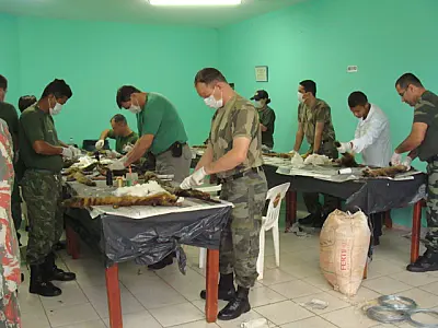 Policiais concluem curso de taxidermia e confeccionam 100 animais silvestres
