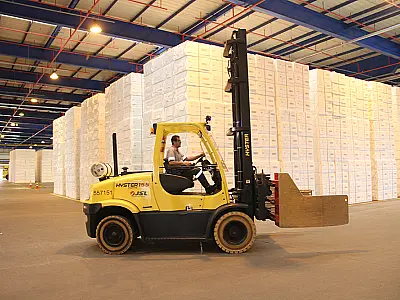 Indústria de celulose e papel fecha 2015 no azul e pretende manter produção para 2016