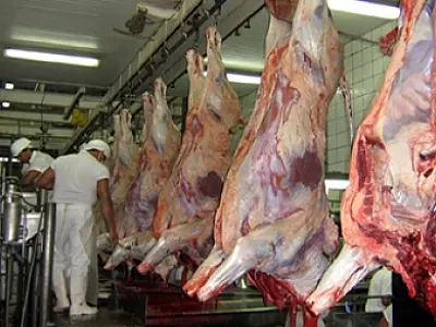 Ucrânia veta importações de carnes do Brasil