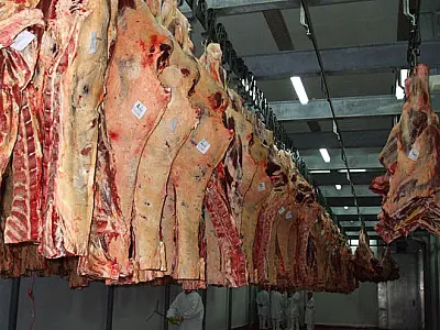 Exportação de carne bovina alcança em agosto melhor resultado do ano