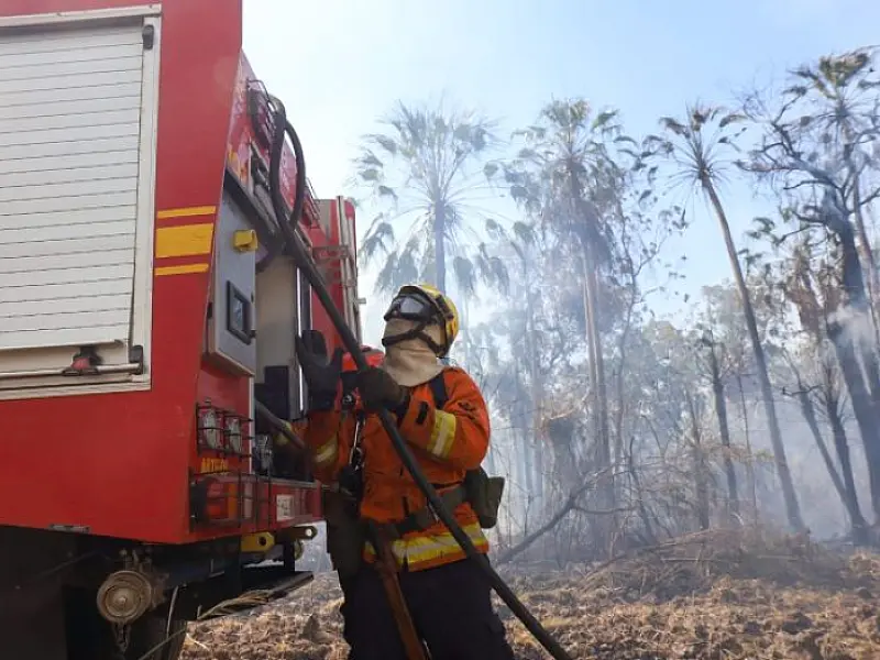 Com seis focos ativos, incêndios no Pantanal são intensificados