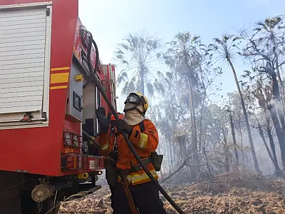 Com seis focos ativos, incêndios no Pantanal são intensificados
