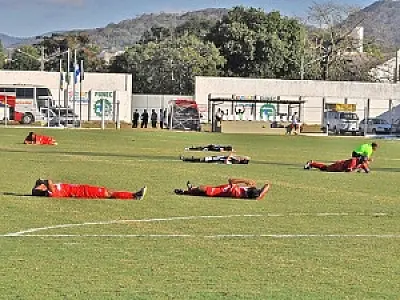 Enxame de abelhas ataca jogadores em partida do Sul-Mato-Grossense