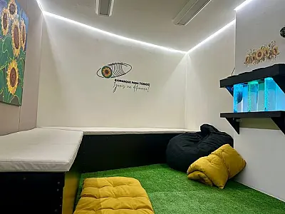 Sala de acomodação sensorial garante espaço reservado para autistas no Bioparque Pantanal