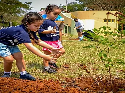 Em comemoração ao Dia do Meio Ambiente, 123 mudas de Ipês serão plantadas no Parque dos Poderes
