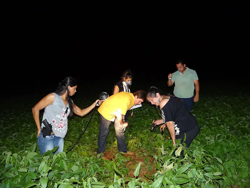 Jovem com as mãos amarradas é encontrada morta em plantação