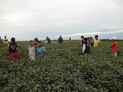Indígena de 65 anos é encontrado morto em plantação de soja