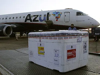 Oitava remessa de vacina com 54,6 mil doses chega nesta quarta-feira a Mato Grosso do Sul
