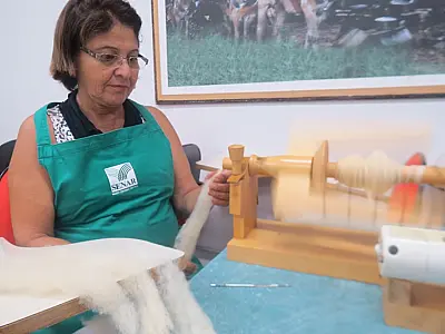 Com matéria-prima de baixo custo, Senar inicia nova capacitação em MS