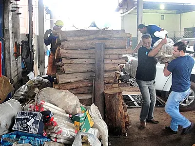 Polícia Civil de Nova Andradina incinera 2,8 toneladas de droga