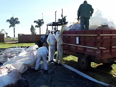 Embalagens de agrotóxicos são recolhidas em Taquarussu