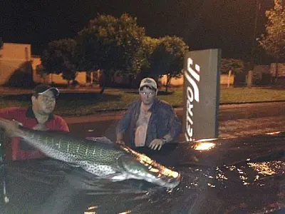 Pescadores de Caarapó pescam ´Pintado´ de 1.53 m de comprimento