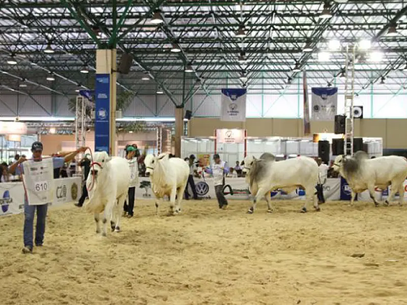 Abertura Oficial da Expoinel MS acontece no Albano Franco nesta segunda-feira