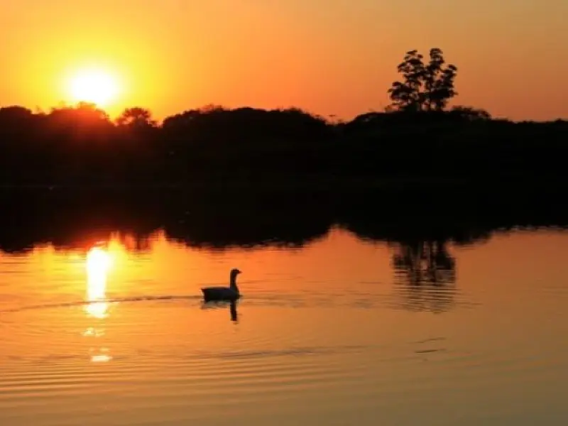 Temperaturas voltam a subir e fim de semana pode ter máxima de 39°C no Estado
