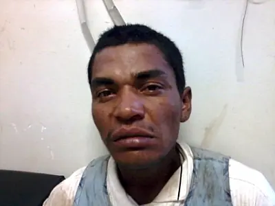 Morador de rua é detido após furar olho e boca de filhote de gato com anzol