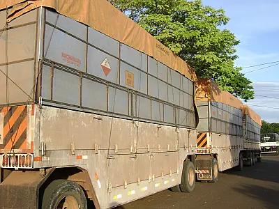 PMA apreende carreta de carvão ilegal e aplica multa