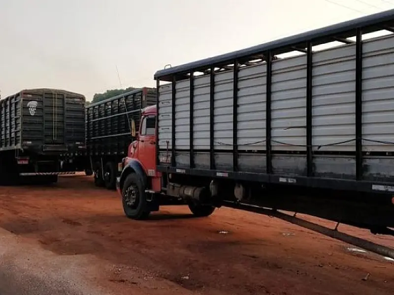 Iagro suspende obrigatoriedade do uso do aplicativo de transporte de animais
