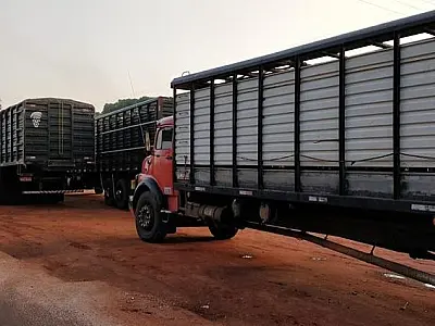 Iagro suspende obrigatoriedade do uso do aplicativo de transporte de animais
