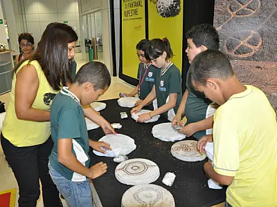 Exposição em Três Lagoas destaca a história do Pantanal