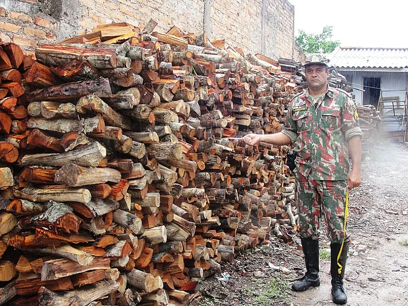 PMA autua dono de padaria por utilizar madeira ilegal