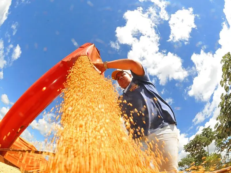 Mato Grosso do Sul fecha 2024 com superávit de US$ 7,1 bilhões na balança comercial