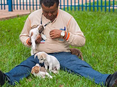 CCZ promove dia especial de doação de animais no domingo
