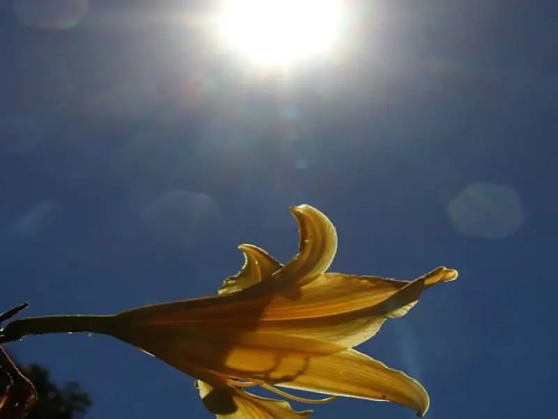 Mato Grosso do Sul tem mais um dia de calor intenso nesta terça-feira
