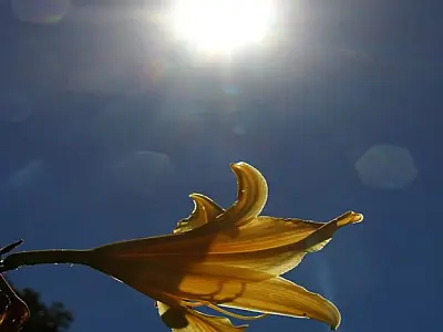Mato Grosso do Sul tem mais um dia de calor intenso nesta terça-feira
