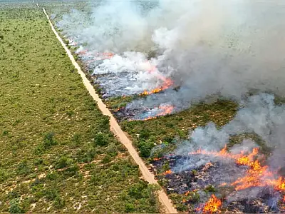 Imasul informa: Continua proibida a queima controlada na planície pantaneira
