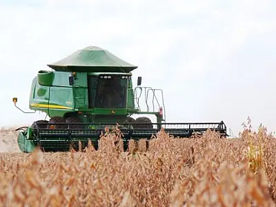 Iagro alerta produtores sobre últimos dias para cadastro da área de plantio de soja