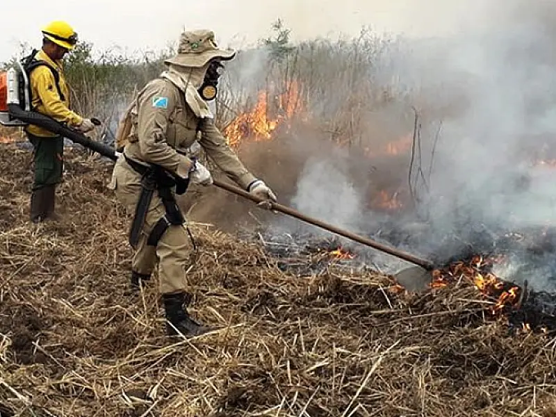 Operação de combate às queimadas no Pantanal faz o número de focos de incêndio cair de 301 para 50