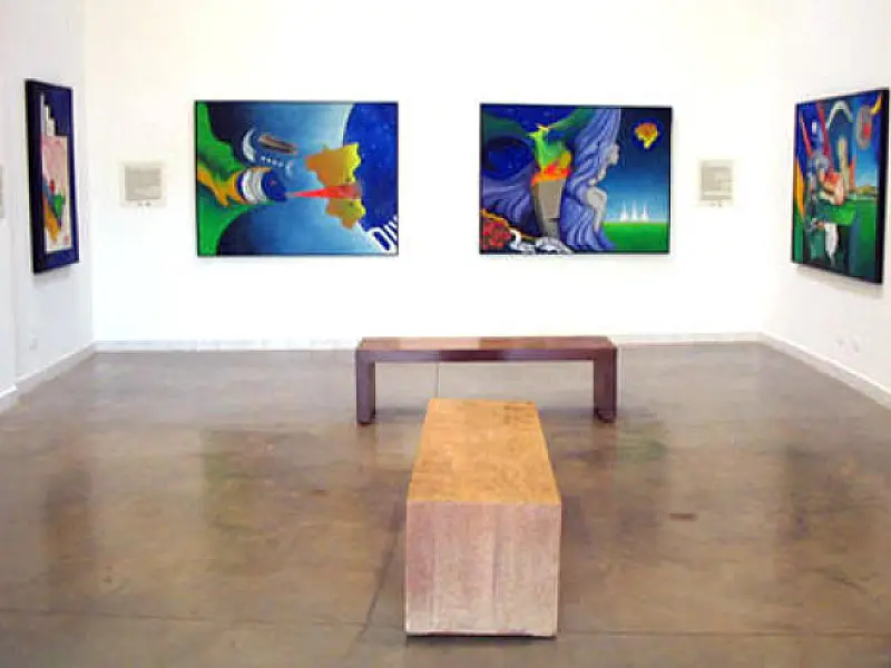 Fundação de Cultura inaugura exposição em comemoração a criação de MS