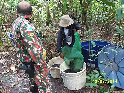PMA autua homem por captura ilegal de iscas vivas