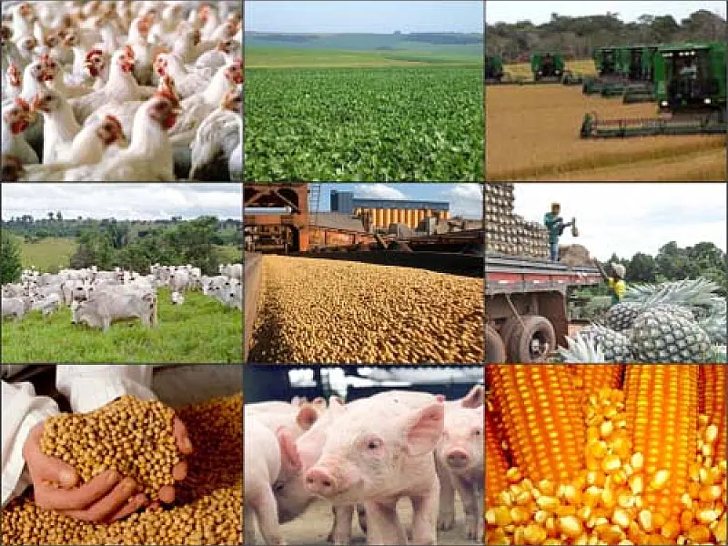 Índice de Commodities Brasil apresenta alta de 5,34% em junho