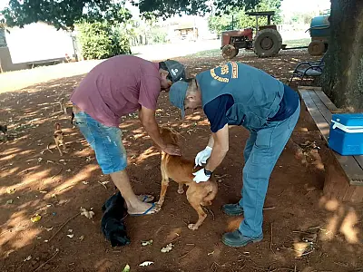 Prefeitura leva nesta segunda-feira vacinação contra raiva aos bairros Nova Campo Grande e Caiçara