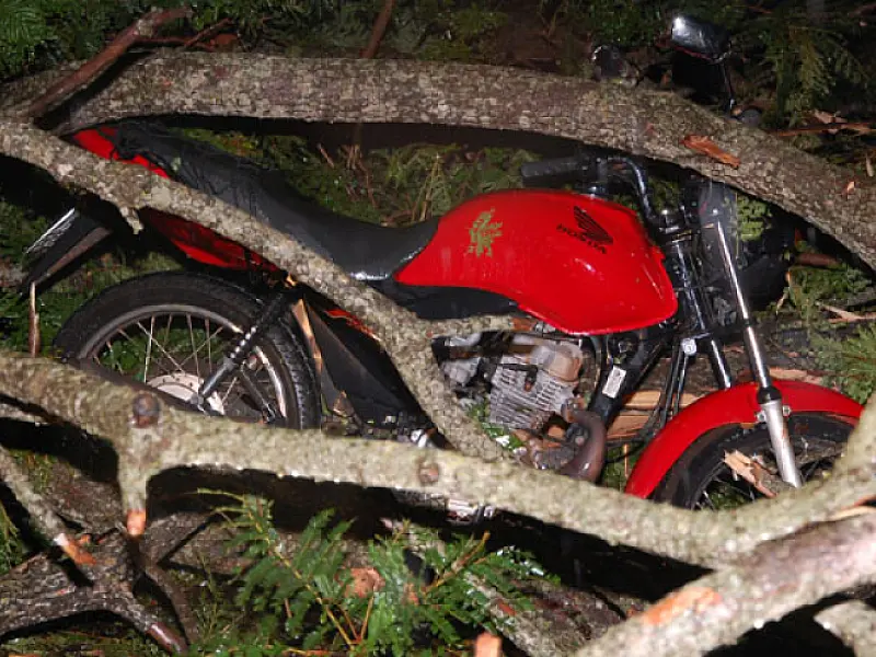 Vendaval atinge Distrito de Culturama e derruba árvore sobre motociclista