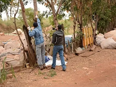 Homem morre prensado entre árvore e carreta em MT